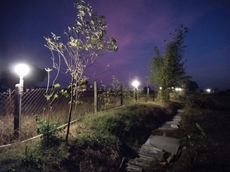 Out Door Teliya Night View 1